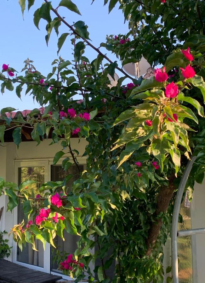 La Casa Di Mare Villa อากิออส กอร์ดิออส ภายนอก รูปภาพ